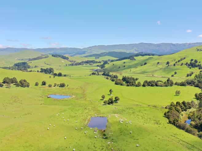 83 Towai Road, Dannevirke