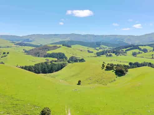 83 Towai Road, Dannevirke