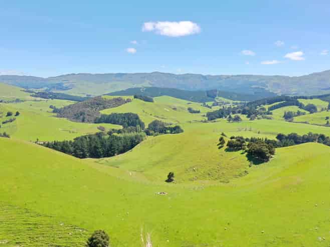 83 Towai Road, Dannevirke