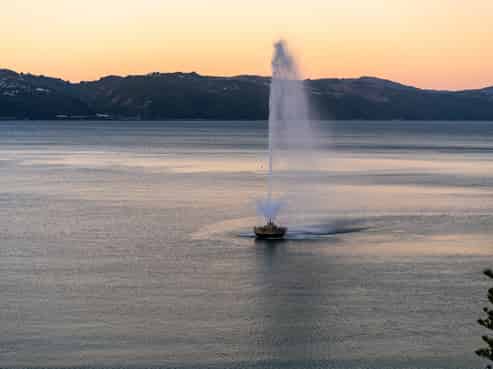 4/214 Oriental Parade, Oriental Bay