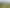  Tainui Road, Morrinsville