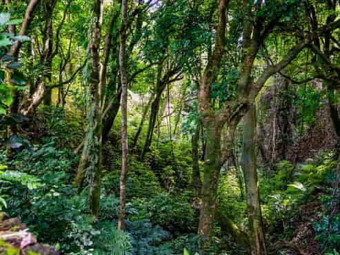Lot 1 Weld Road Upper, Oakura