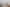713 Plymouth Road, Koru