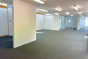 Professional offices of scale
