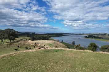 Lots 1 - 4 Settlement Hill Road, Owaka