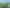 Rare Heavy Industrial Land of Scale