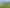 Rare Heavy Industrial Land of Scale
