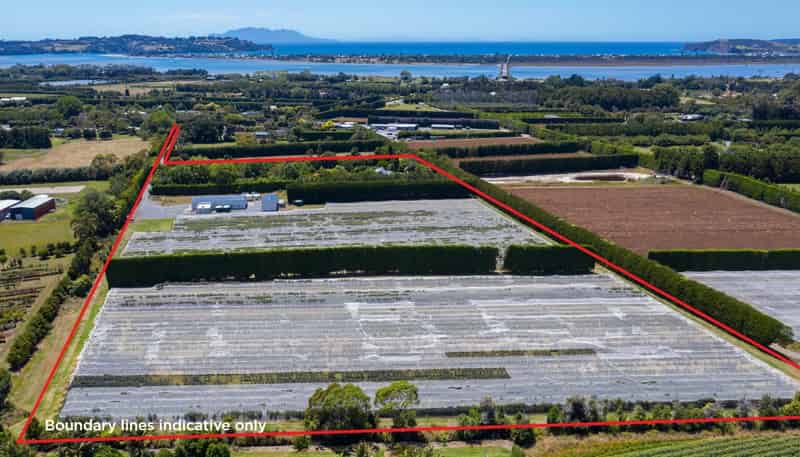 242A Omaha Flats Road, Omaha