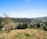 12 Nursery Lane, Belleknowes, Dunedin City, Otago