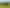 8401 Route 52, Dannevirke