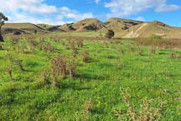  Mangaone Road, Pongaroa