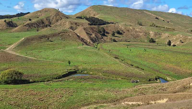  Mangaone Road, Pongaroa