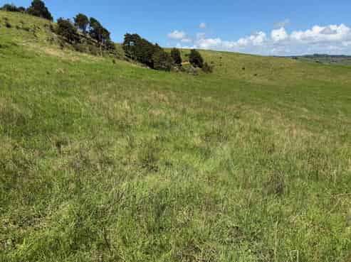 860  Kaiwaka Mangawhai Road, Kaiwaka