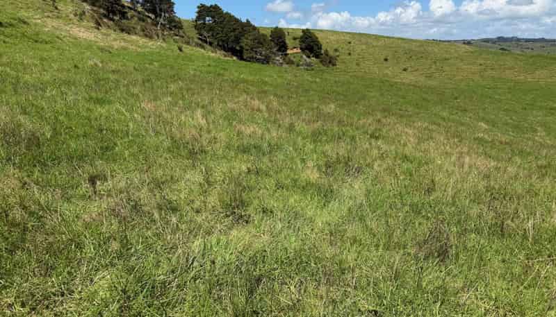 860  Kaiwaka Mangawhai Road, Kaiwaka