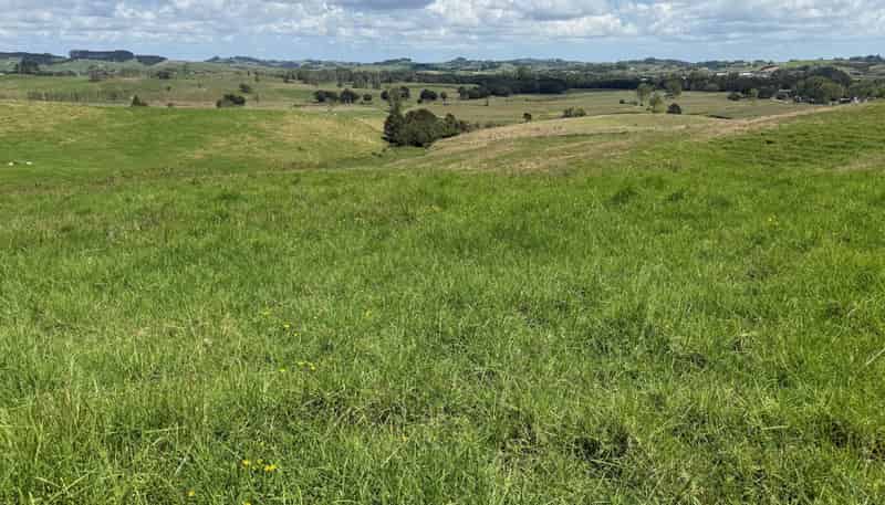 860  Kaiwaka Mangawhai Road, Kaiwaka