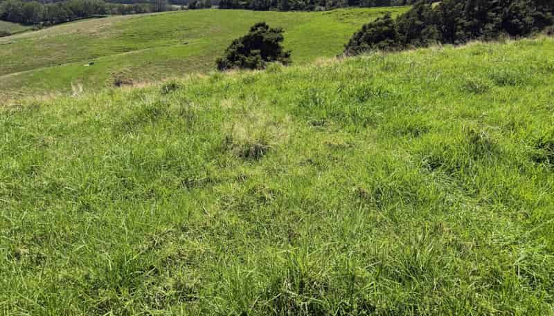 860  Kaiwaka Mangawhai Road, Kaiwaka