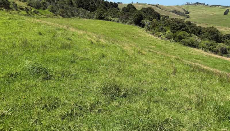 860  Kaiwaka Mangawhai Road, Kaiwaka