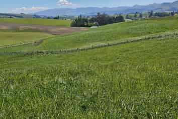 116 Burraness Street, Palmerston