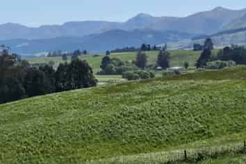 116 Burraness Street, Palmerston