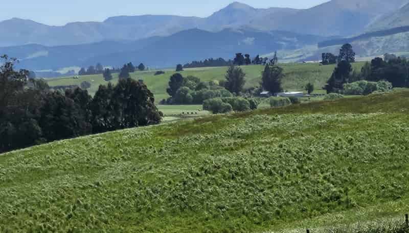 116 Burraness Street, Palmerston