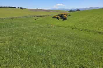 116 Burraness Street, Palmerston