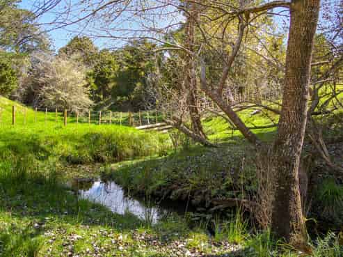 354 Lot 1 Mountain Road, Maungaturoto