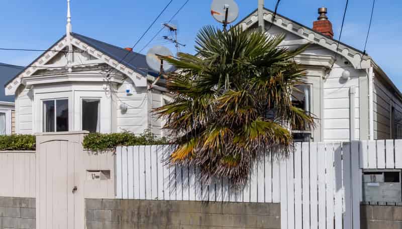 19 Douglas Street, Mount Cook