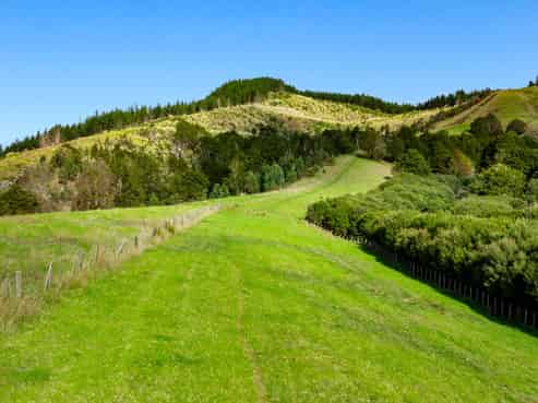 704 Whangaripo Valley Road, Whangaripo