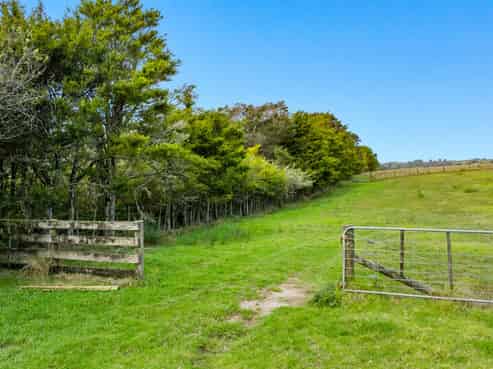 704 Whangaripo Valley Road, Whangaripo