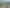 16a & 16b Okupe Grove, Aotea