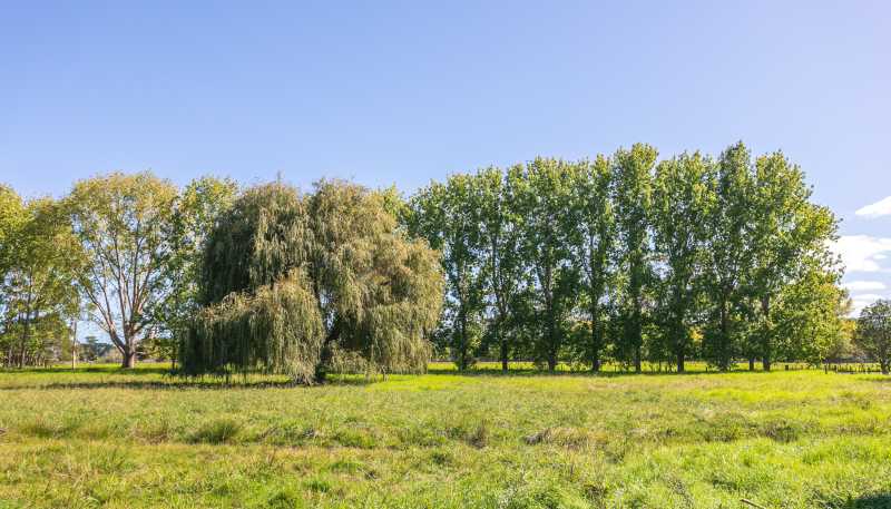1740 SH25, Manaia Road, Coromandel