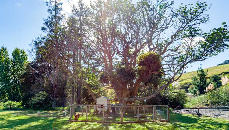 1740 SH25, Manaia Road, Coromandel