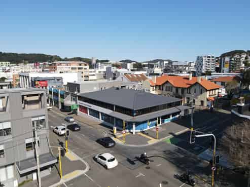Sun-Soaked Te Aro Landmark with Income and Profile