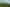 Auckland - Address withheld
