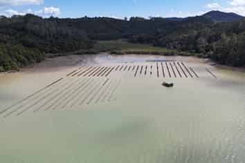  Waikare Inlet, Opua