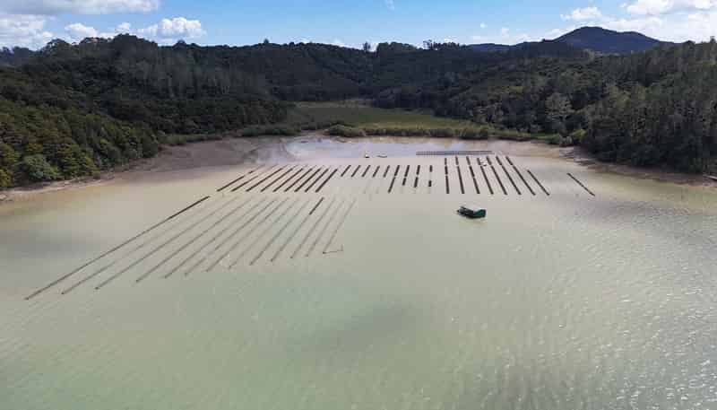  Waikare Inlet, Opua