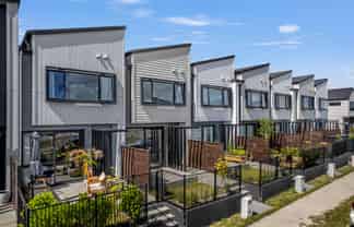 182 Dendro Ring Road, Milldale