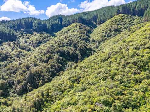 115 Kaitawa Road, Hautere