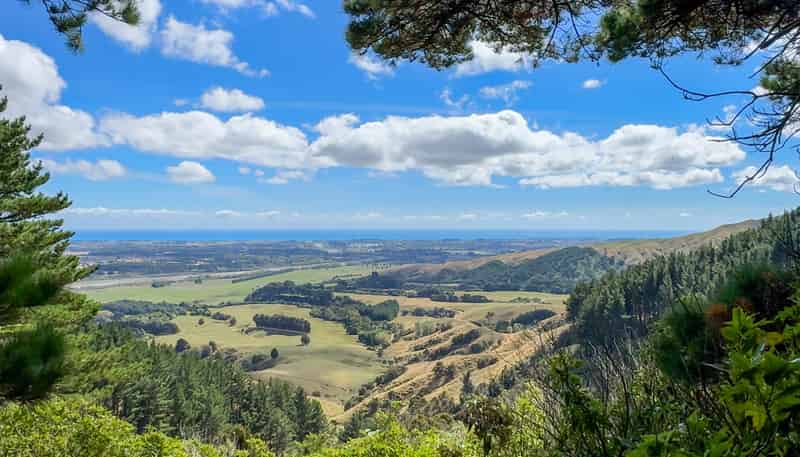 115 Kaitawa Road, Hautere
