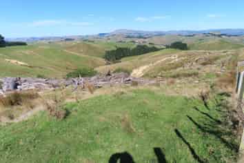 210 Mangamaire Road, Dannevirke