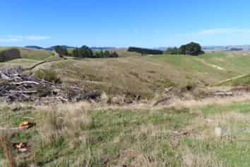 210 Mangamaire Road, Dannevirke