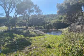 Lot 3/161 Wharariki Road, Puponga