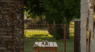 Open gallery
