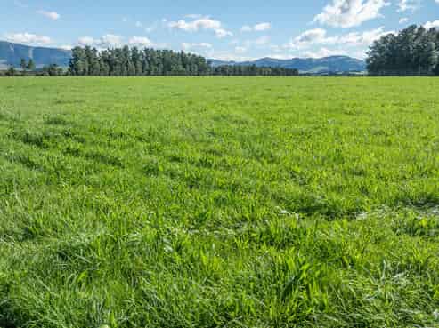 375 Stonyflat Road, Loburn
