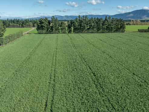 375 Stonyflat Road, Loburn