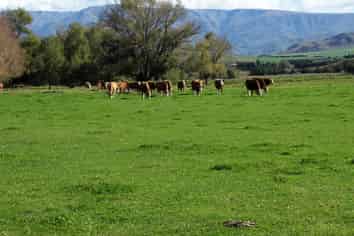 812 Hakataramea Valley Road, Hakataramea Valley