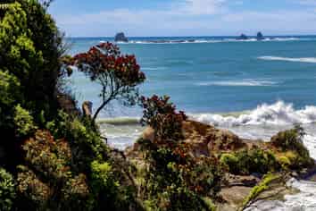 Lot 5 Omau Heights, Cape Foulwind Road, Cape Foulwind