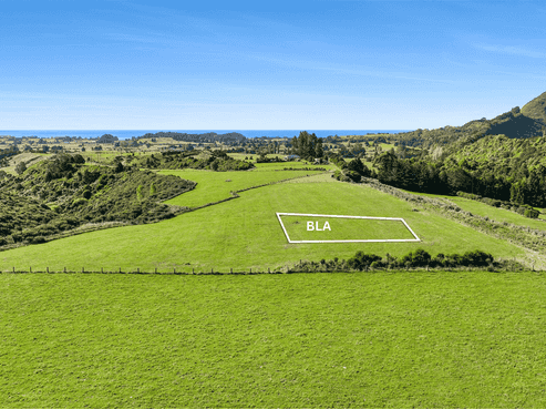 333  Packard Road, Takaka