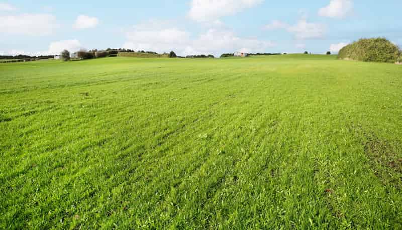 142 Hutchings Road, Waiuku