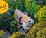 23 Fowler Access Road, Puhoi, Rodney, Auckland